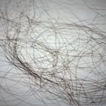 抜け毛の本数は季節によって変わる|正常範囲の抜け毛とは?