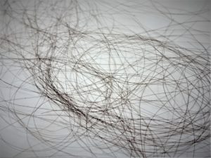 抜け毛の本数は季節によって変わる|正常範囲の抜け毛とは?