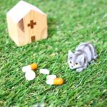 プロペシアの効果と副作用について|若ハゲ対策にも有効?!