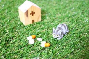 プロペシアの効果と副作用について｜若ハゲ対策にも有効?！