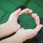 スピルリナ育毛について|「スピルリナとは何か?」から効果まで解説